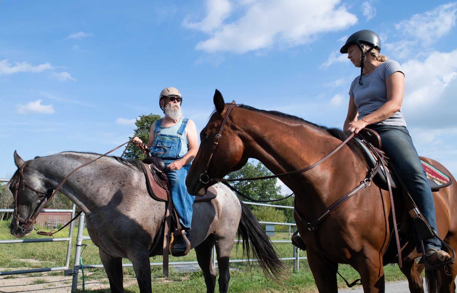 Horses can help military veterans battling PTSD or other disabilities.
