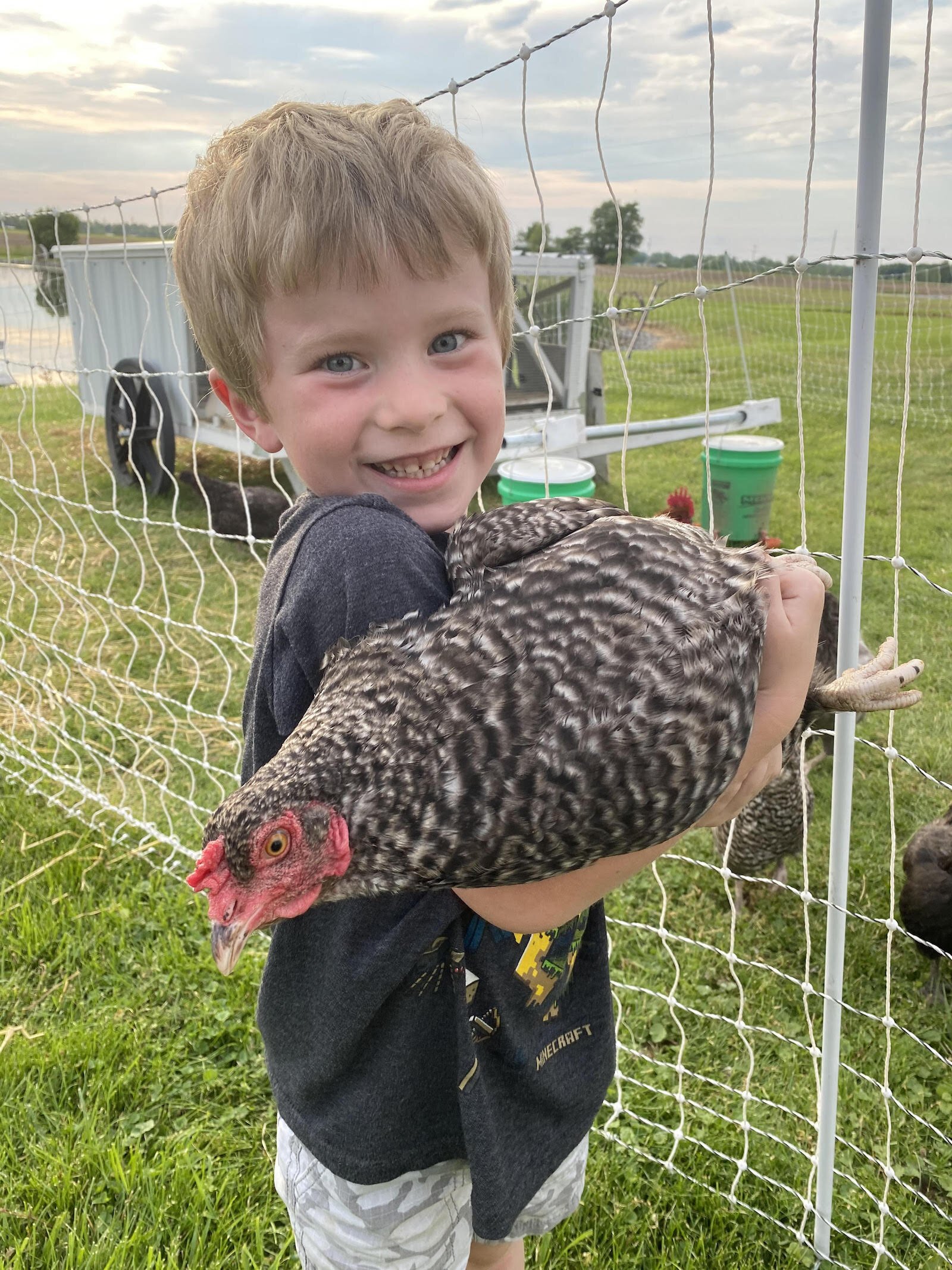 One of Sharp Bradtmueller's sons helping with the chickens on their homestead.