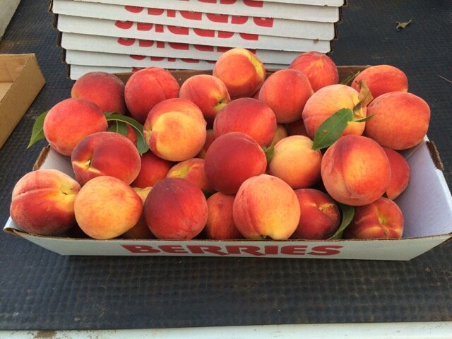 Peaches from David Doud’s Countyline Orchard.