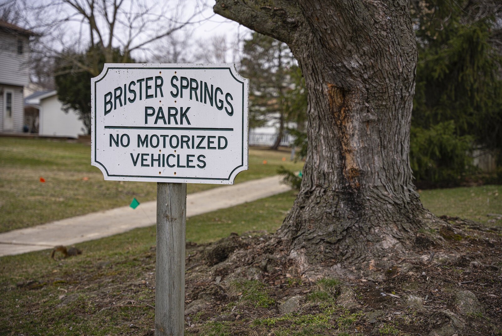 Brister Spring Park, in the Walden Neighborhood, is not a city park. Rather, it was created by the developers of the subdivision. While this public space offers a place of recreation, its acreage does not count toward national surveys and rankings.