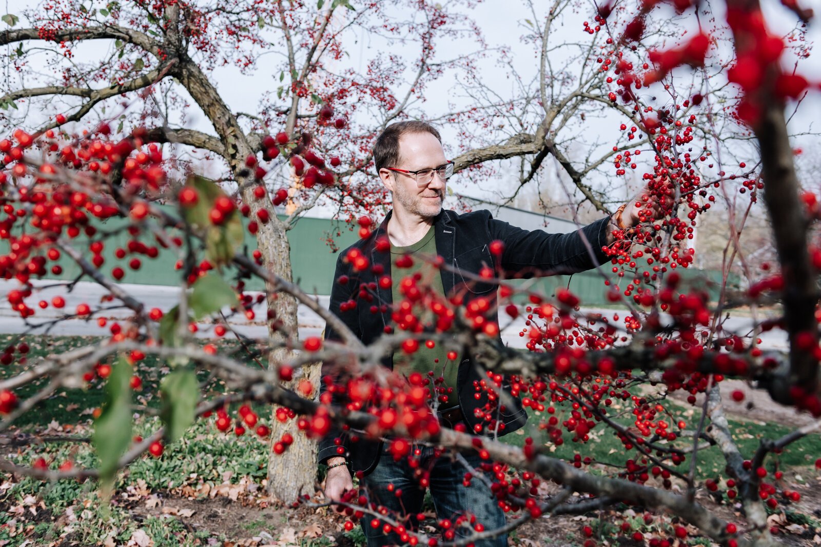 Michael Hoag forages for edible plants and fruit including crab apples at Foster Park in Fort Wayne.