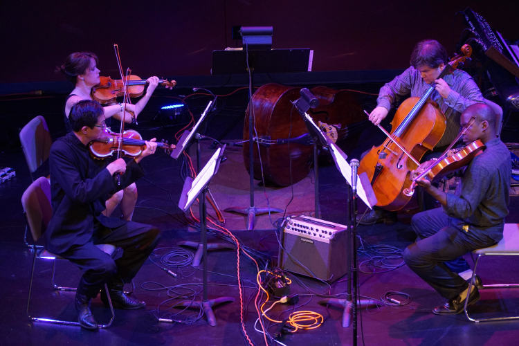 The String Shift quartet performing on Feb. 9 includes Tim and Colleen Tan on violin, Derek Reeves on viola, and Ed Stevens on cello.