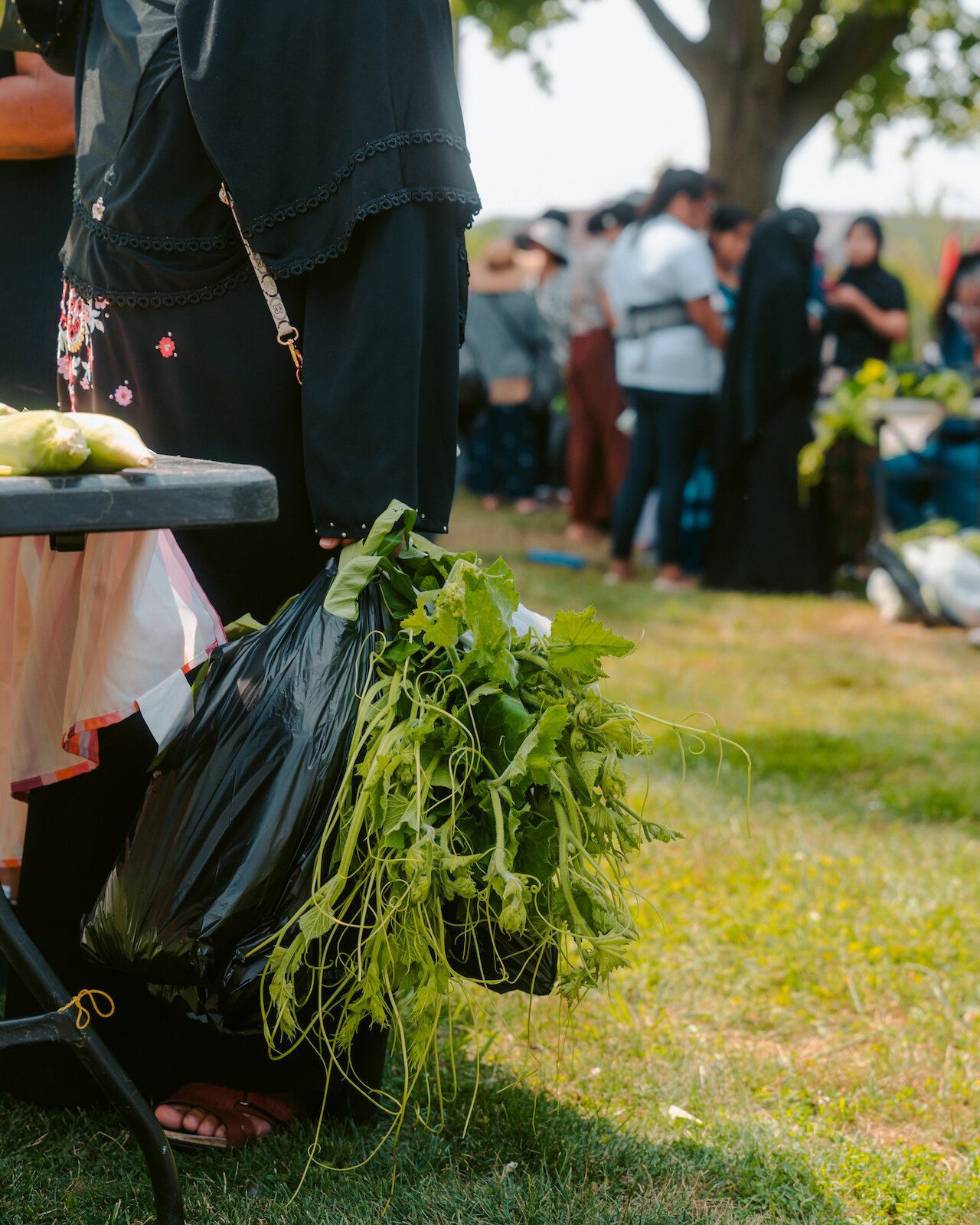 Market attendees shop for fresh produce, grown by local farmers.