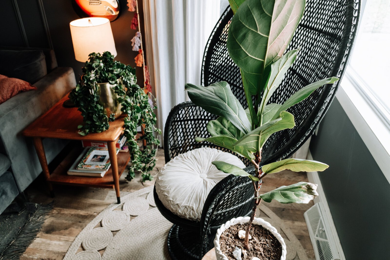 Plants make up a big part of the decor at the home of the Keefe family.