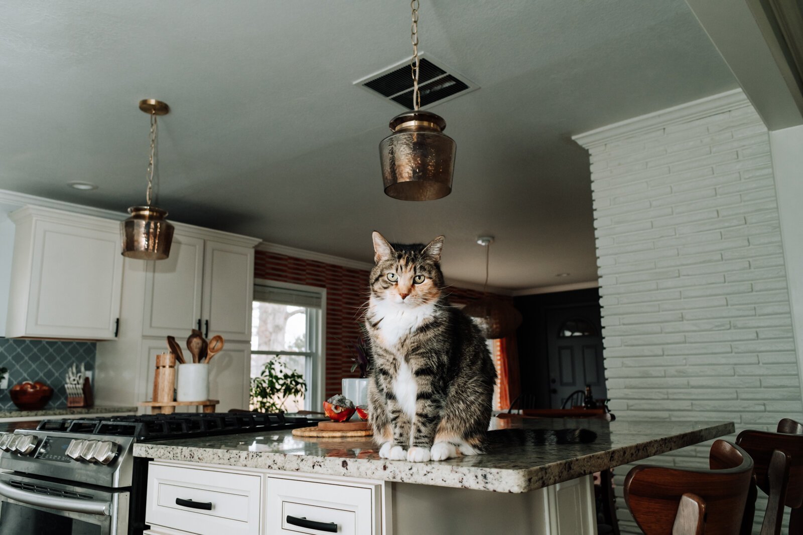 The family cat, Catfish, presides over the kitchen table.