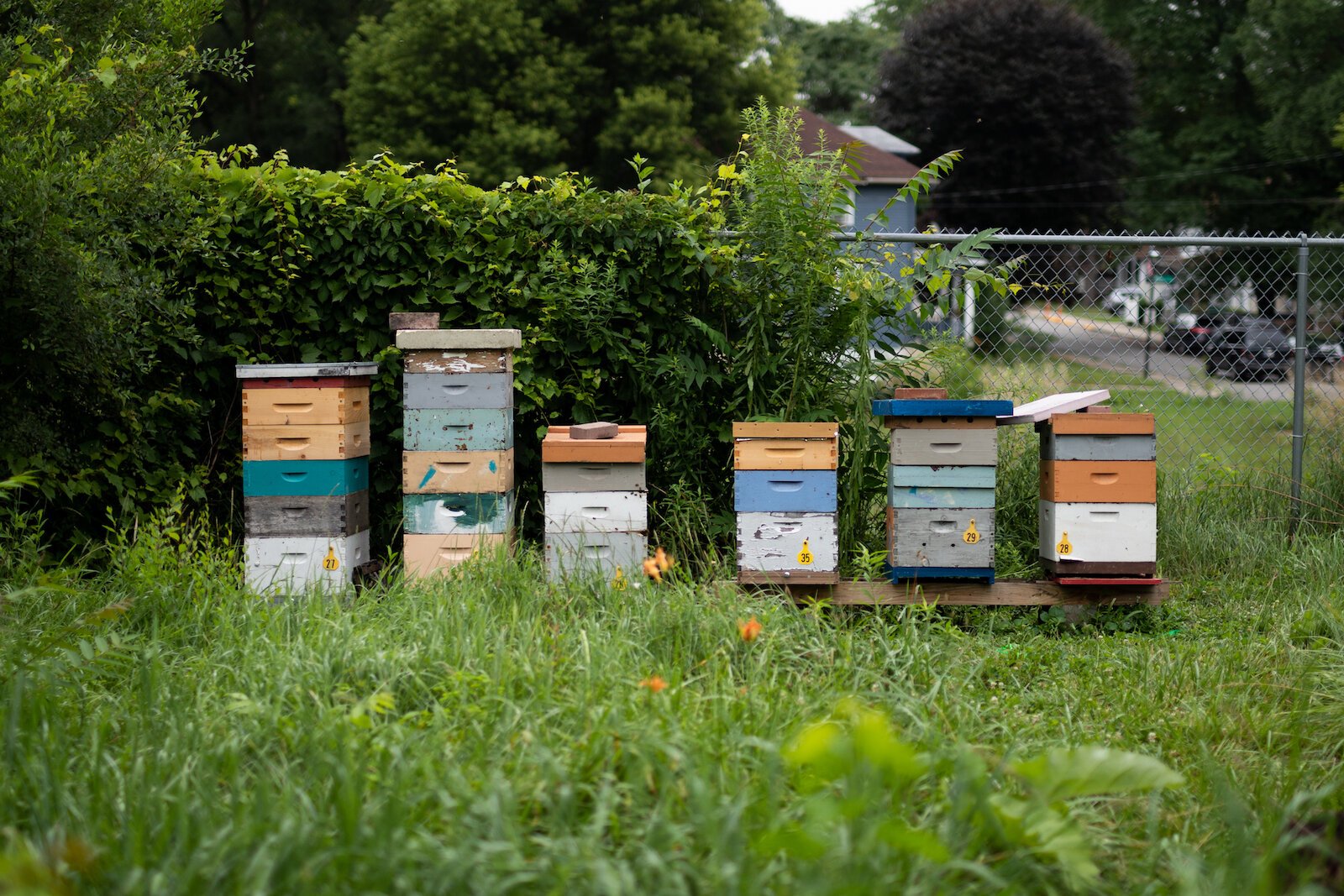 Bee Hives at Poplar Village Gardens.