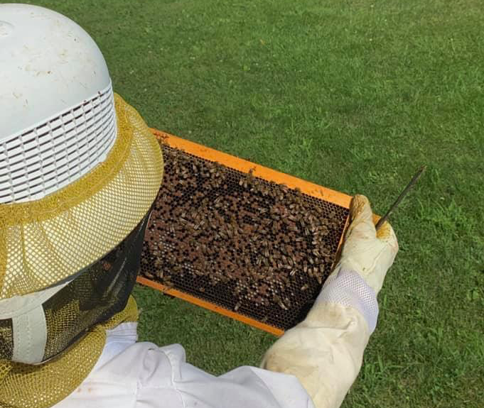 Bizzy Beez raises their own beehives and sells the honey for profit.