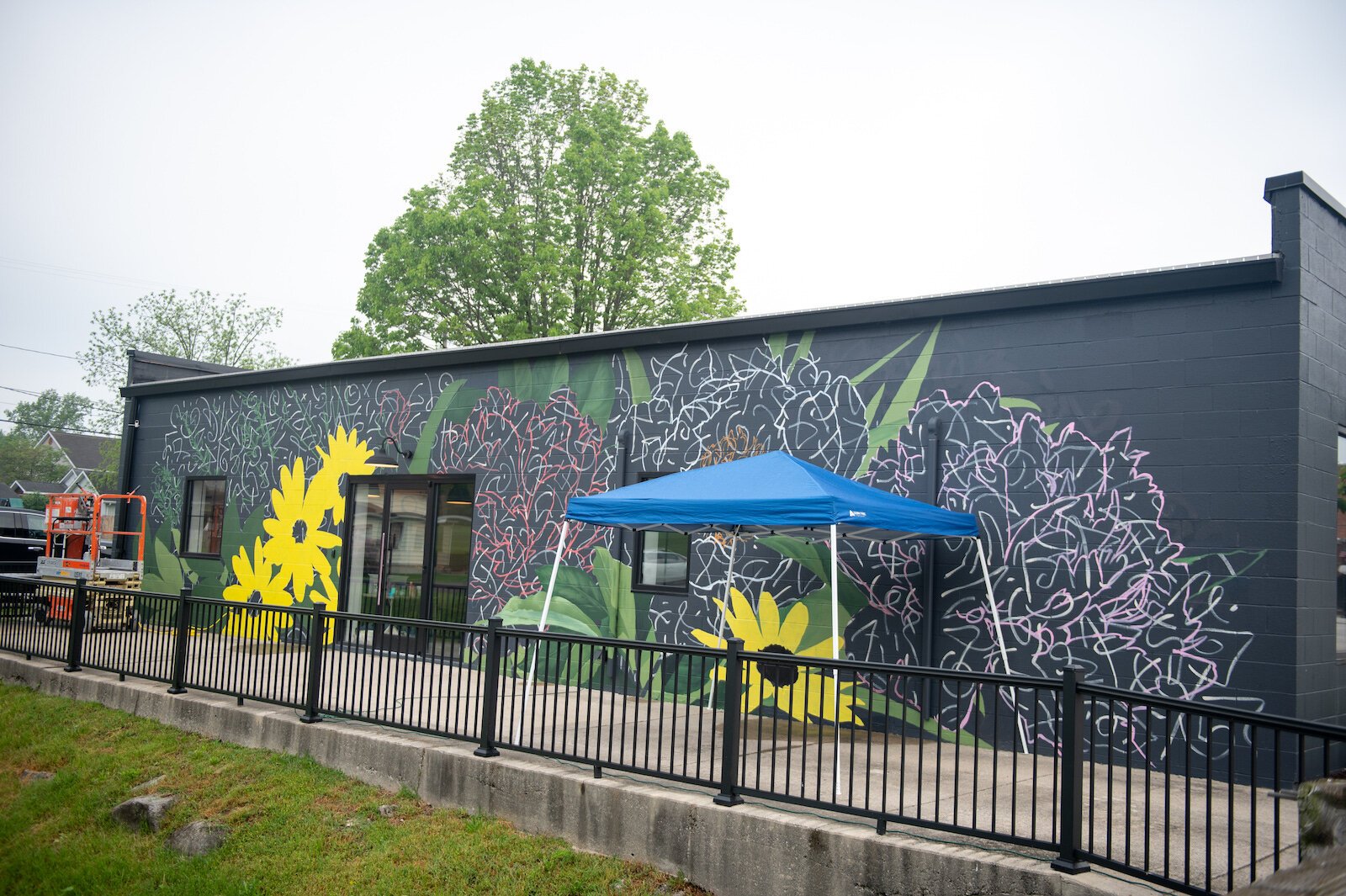 Muralist Louise 'Ouizi' Jones painted the side of Reusser, a digital agency located at 150 S. Main St. in Roanoke.