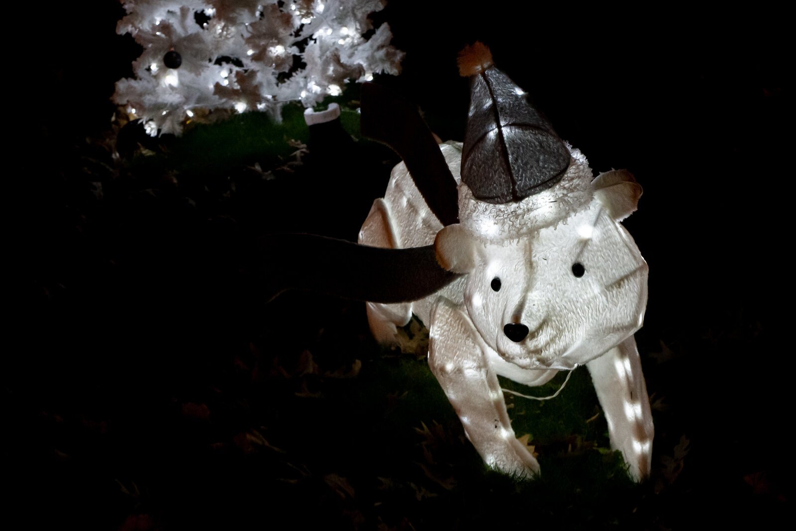 Andrew and Amanda Landers’ home is all decked out for Christmas at 3361 Sand Point Rd.