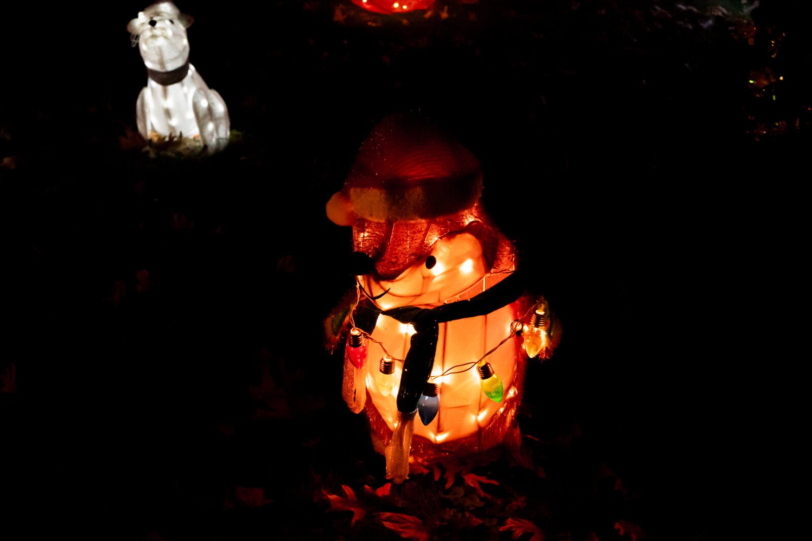 Andrew and Amanda Landers’ home is all decked out for Christmas at 3361 Sand Point Rd.