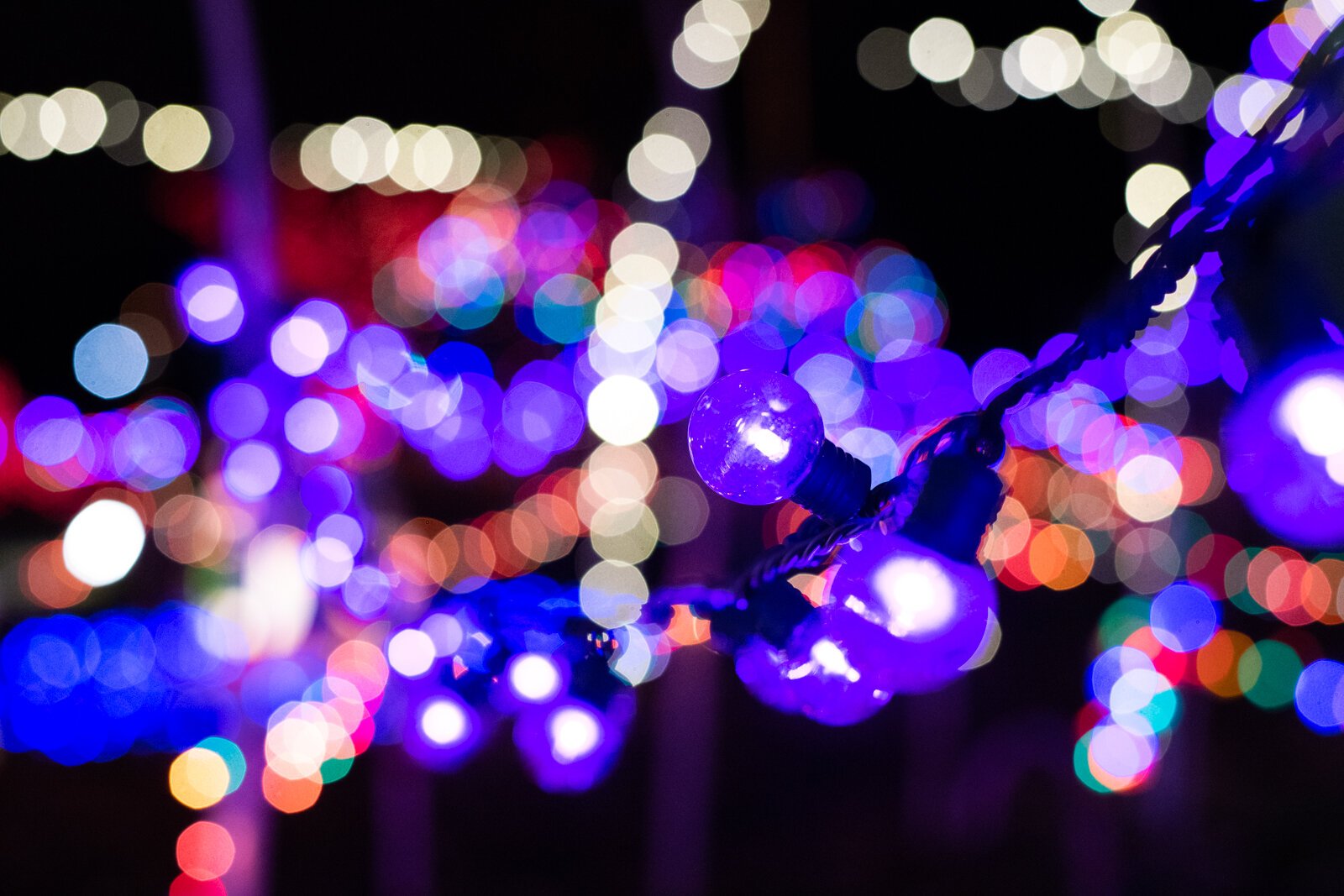 Matt and Jody Ellenwood’s home is all decked out for the holidays at 721 Pelham Dr.