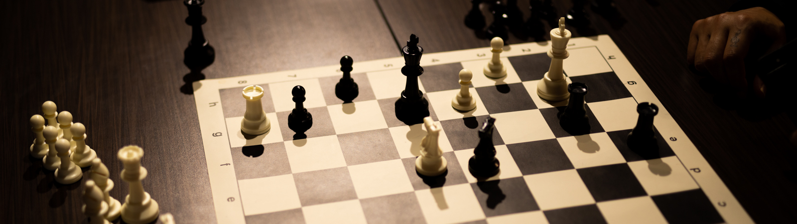 On Chess: Living the dream and reality of a professional chess player