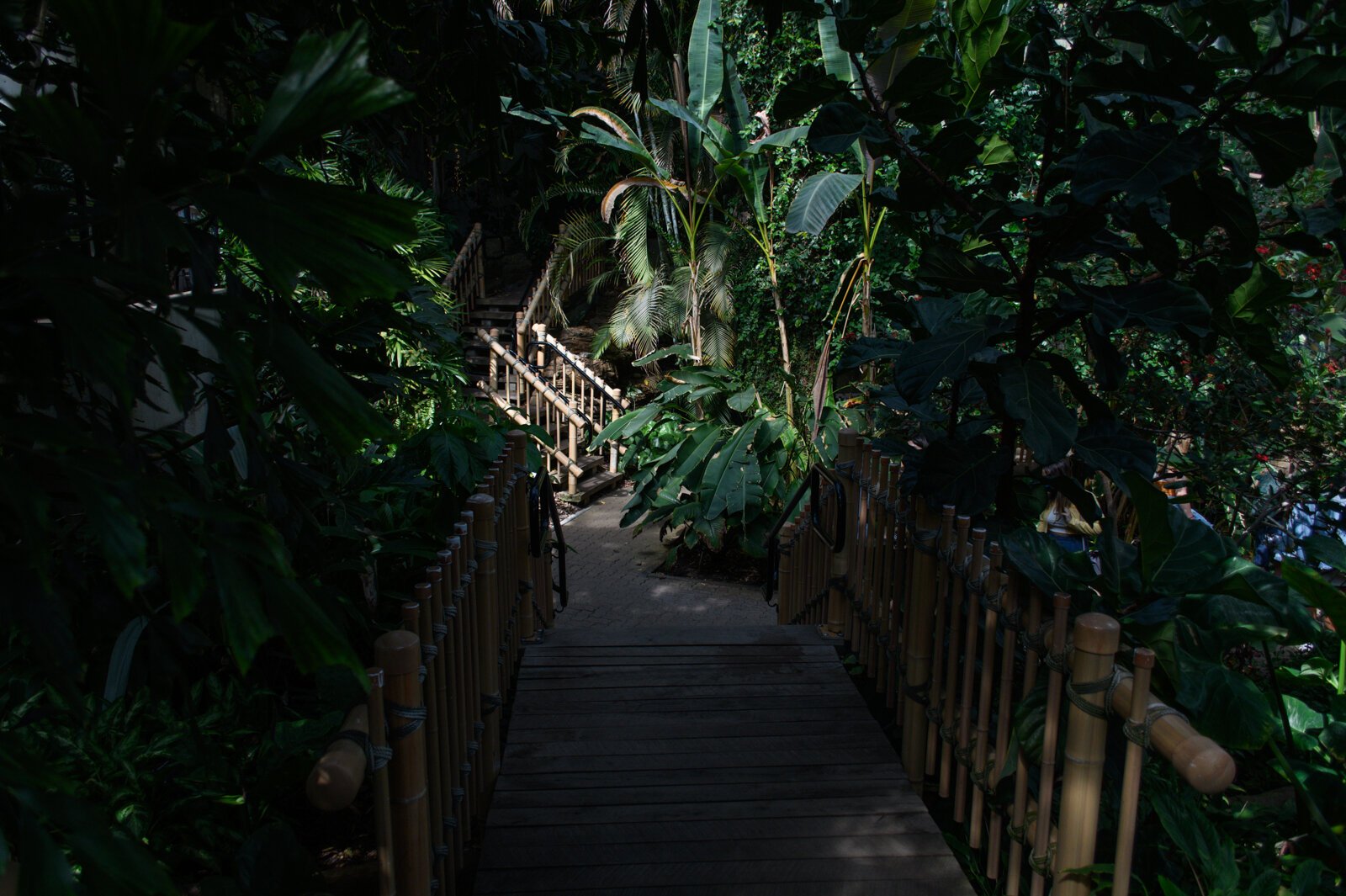 The Botanical Conservatory has three indoor gardens, which cover over 25,000 square feet and showcase 1,200 plants (over 500 species) and 72 different types of cacti.