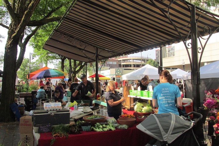 Dan and Wendy Flotow sell their organic products from a prime spot at the YLNI Market.