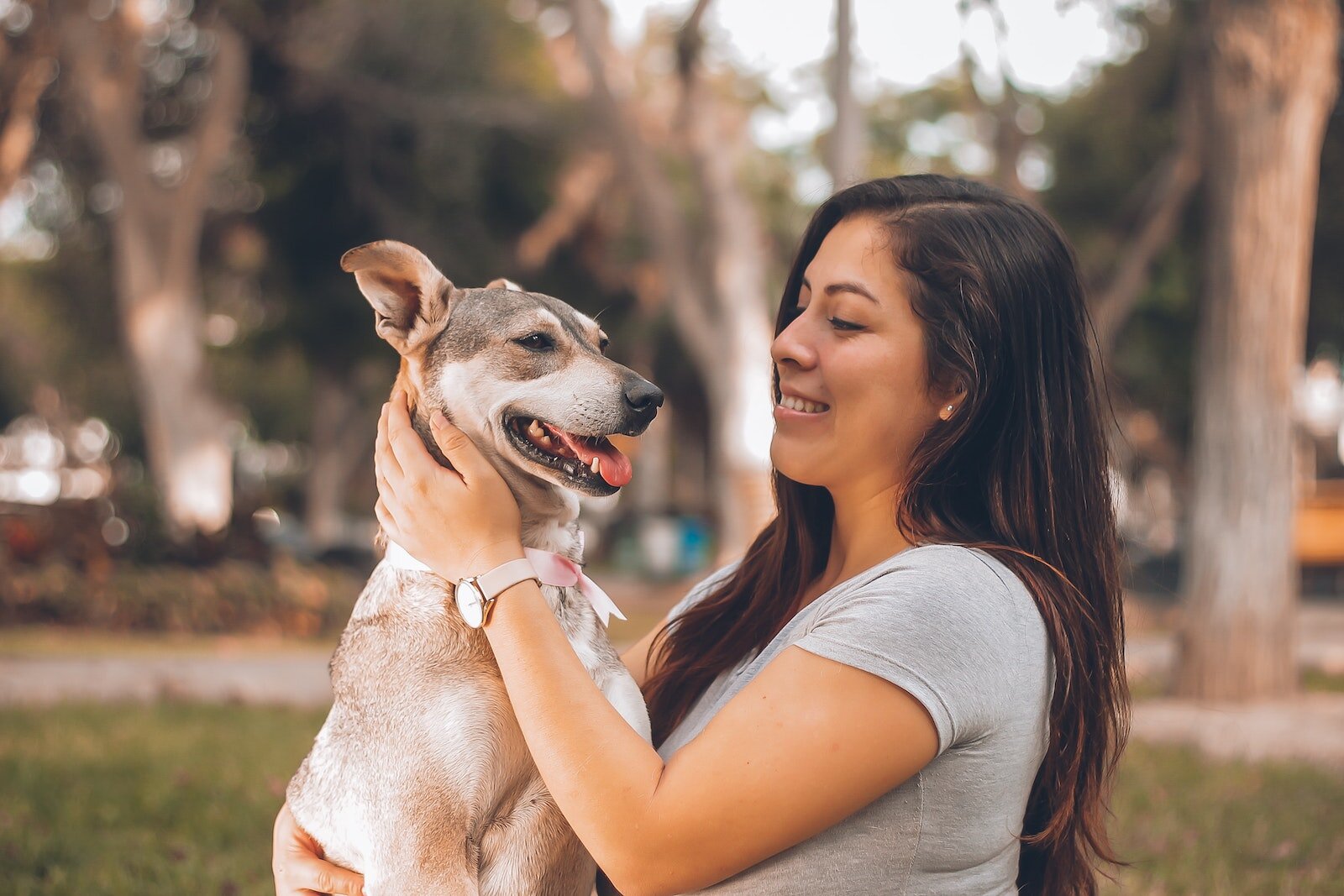 The second annual Dog Days of Autumn seeks to celebrate how pets improve mental health and to create a welcoming space for human interaction in Fort Wayne.