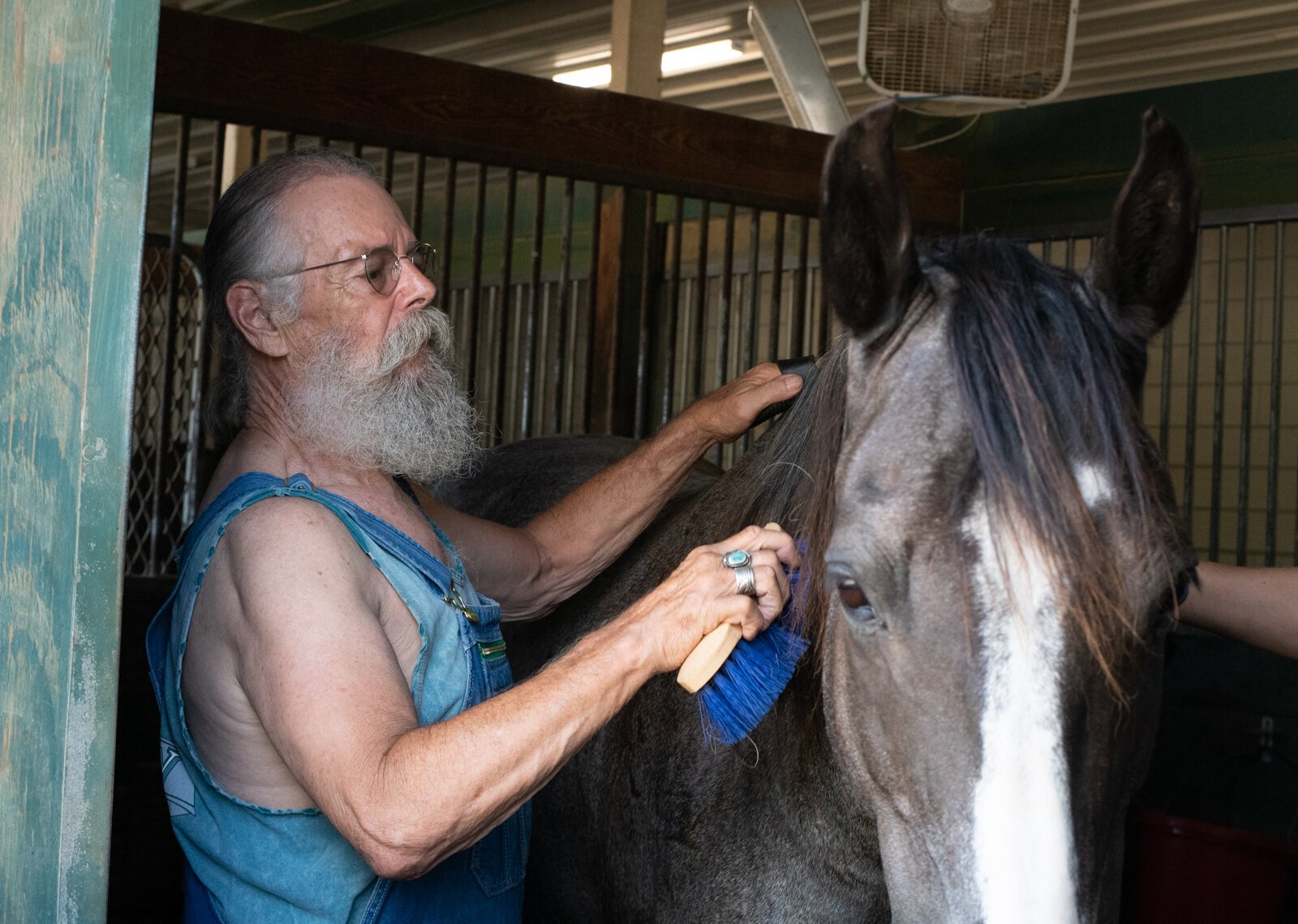 Veteran Randal Clemens grooms horse Mojo at Summit Equestrian Center, 10808 La Cabreah Ln