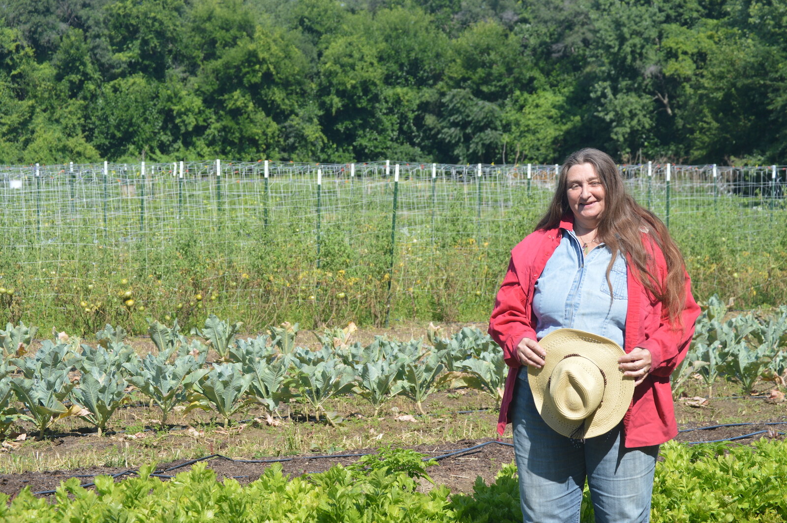 Farmers tend the land at the Rose Avenue Education Farm at 501 Rose Ave. in New Haven.