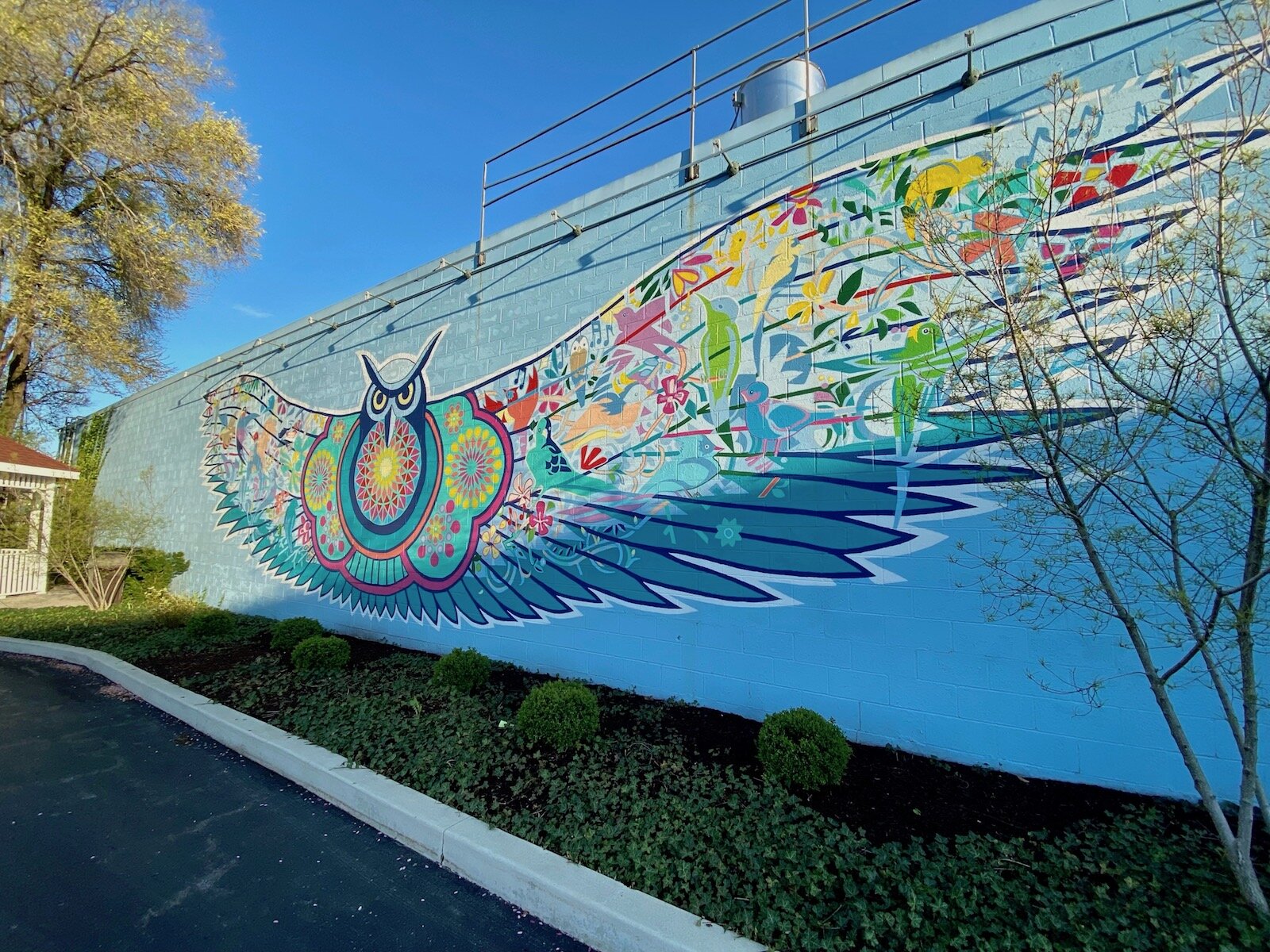 Murals on the side of Firefly Coffee and the Health Food Shoppe in the 3500 block of N. Anthony Blvd.