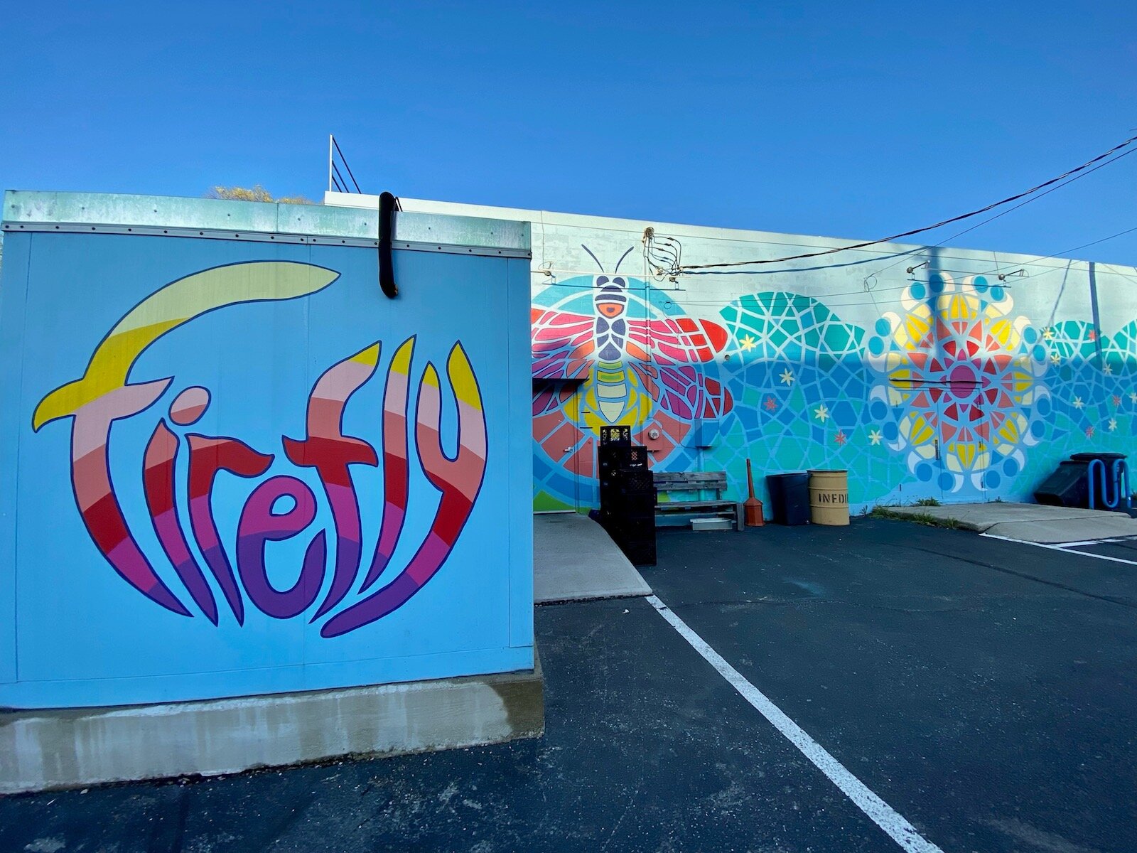 Murals on the side of Firefly Coffee and the Health Food Shoppe in the 3500 block of N. Anthony Blvd.