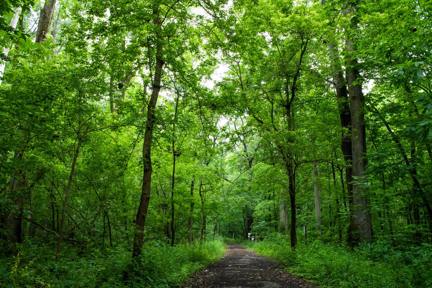 Fox Island Park is located at 7324 Yohne Rd.