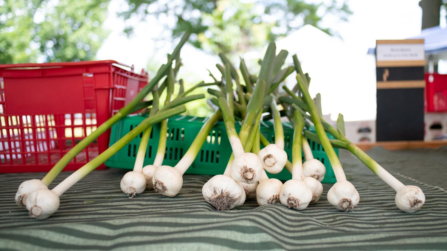 Fresh produce is displayed at the Berry Hill Farm table during the Fort Wayne's Farmers Market at McCulloch Park on Saturday June 19, 2021.