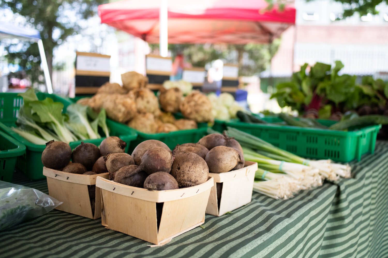 Fresh produce is displayed at the Berry Hill Farm table during the Fort Wayne's Farmers Market at McCulloch Park on Saturday June 19, 2021.