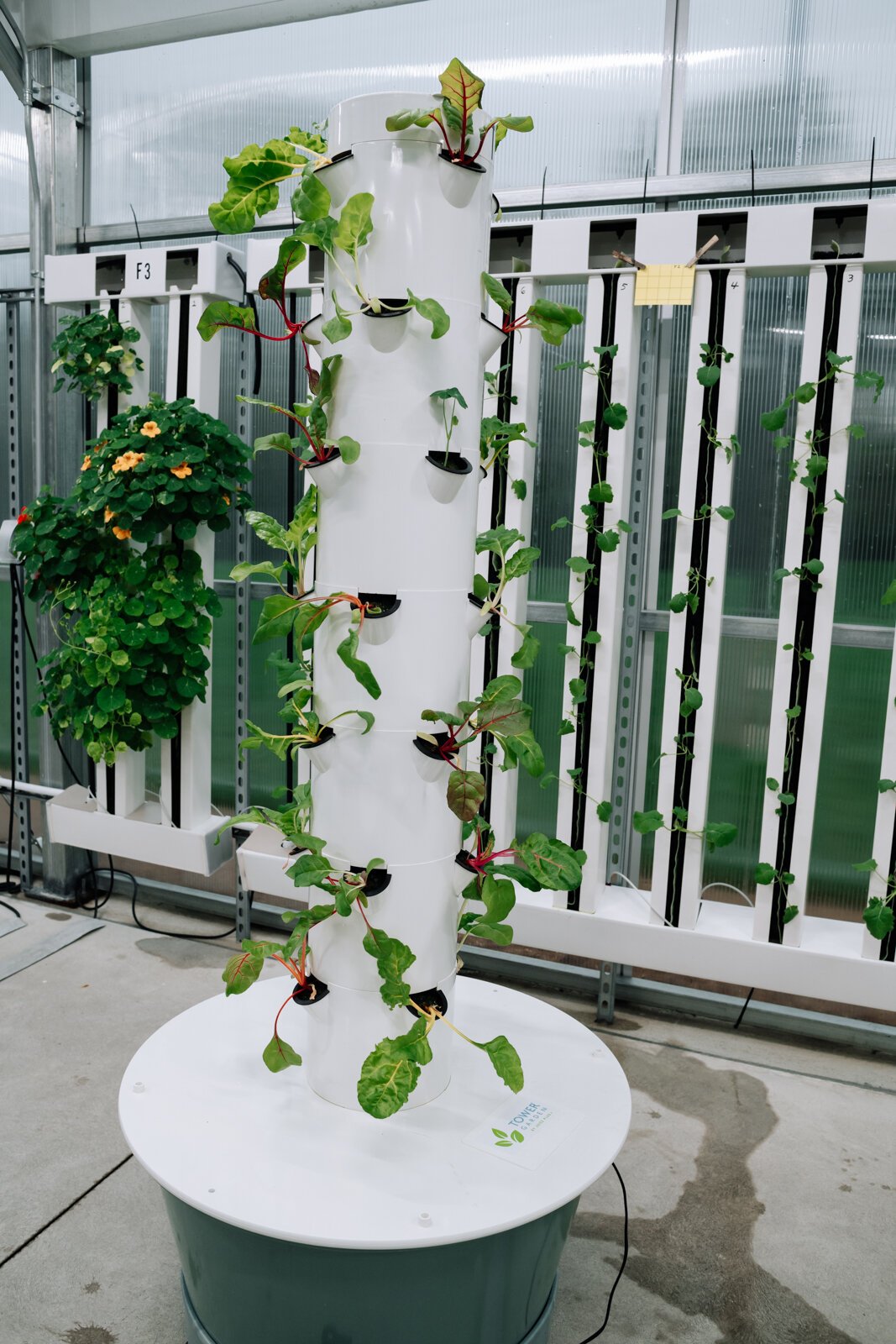 The Juice+ tower gardens at the Parkview Community Greenhouse are the same ones used in schools for the Farm to School program. They feature a variety of plants.