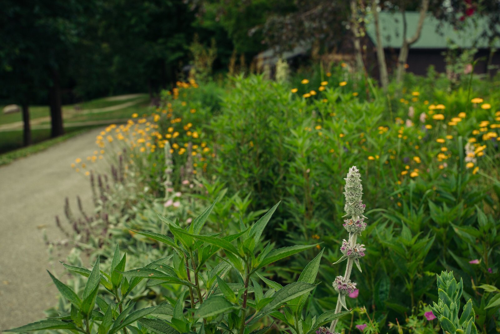 Forks of the Wabash in Huntington features several historic buildings, a paved trail, and an incredible suspension bridge.