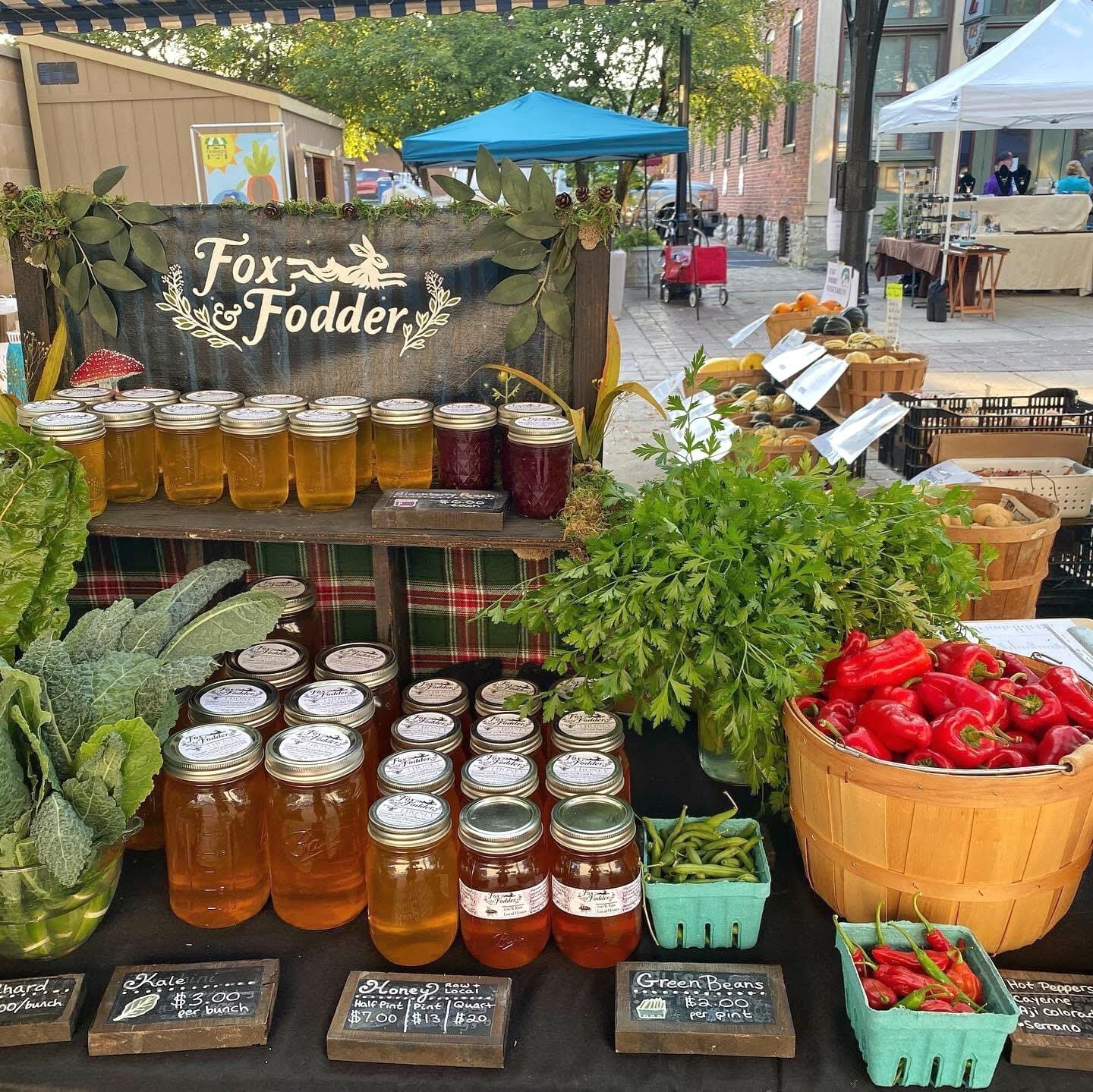 Fox and Fodder's display at the YLNI Farmer's Market.