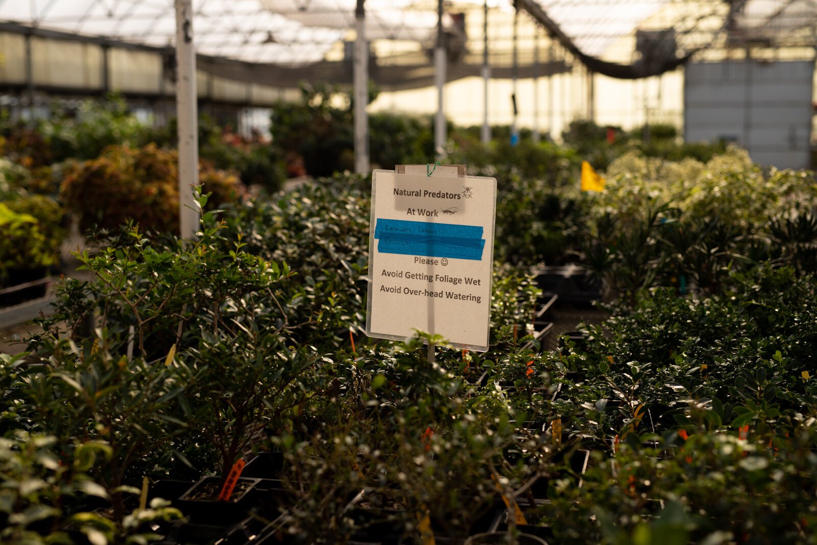 A peek inside the Landscape & Horticulture Lawton Greenhouse.