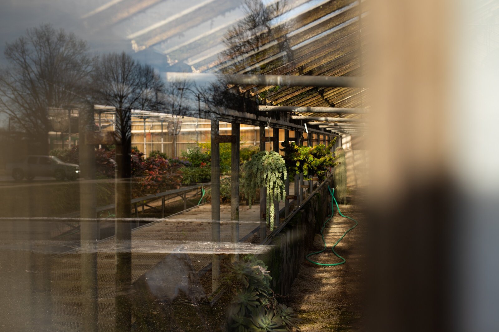 A peek inside the Landscape & Horticulture Lawton Greenhouse.
