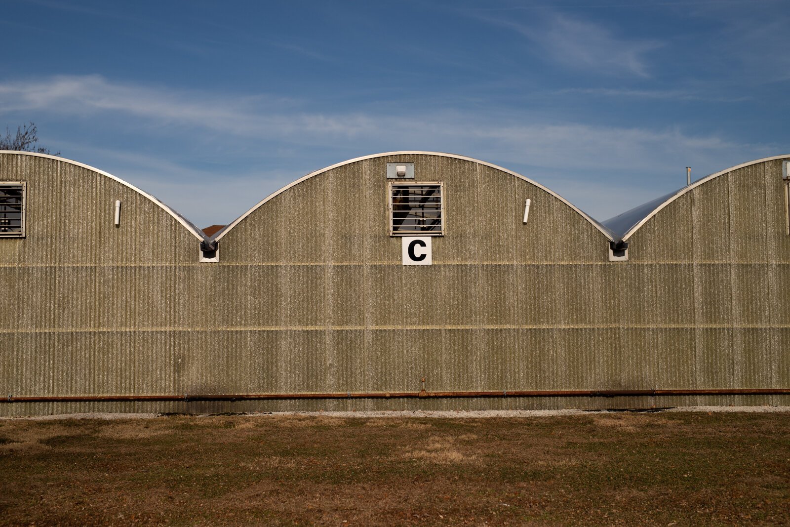 There is a cluster of unassuming greenhouses nestled between Lawton Park and Science Central.