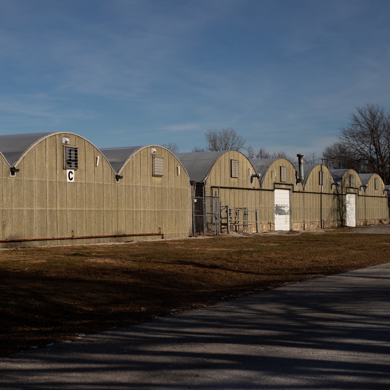 There is a cluster of unassuming greenhouses nestled between Lawton Park and Science Central.