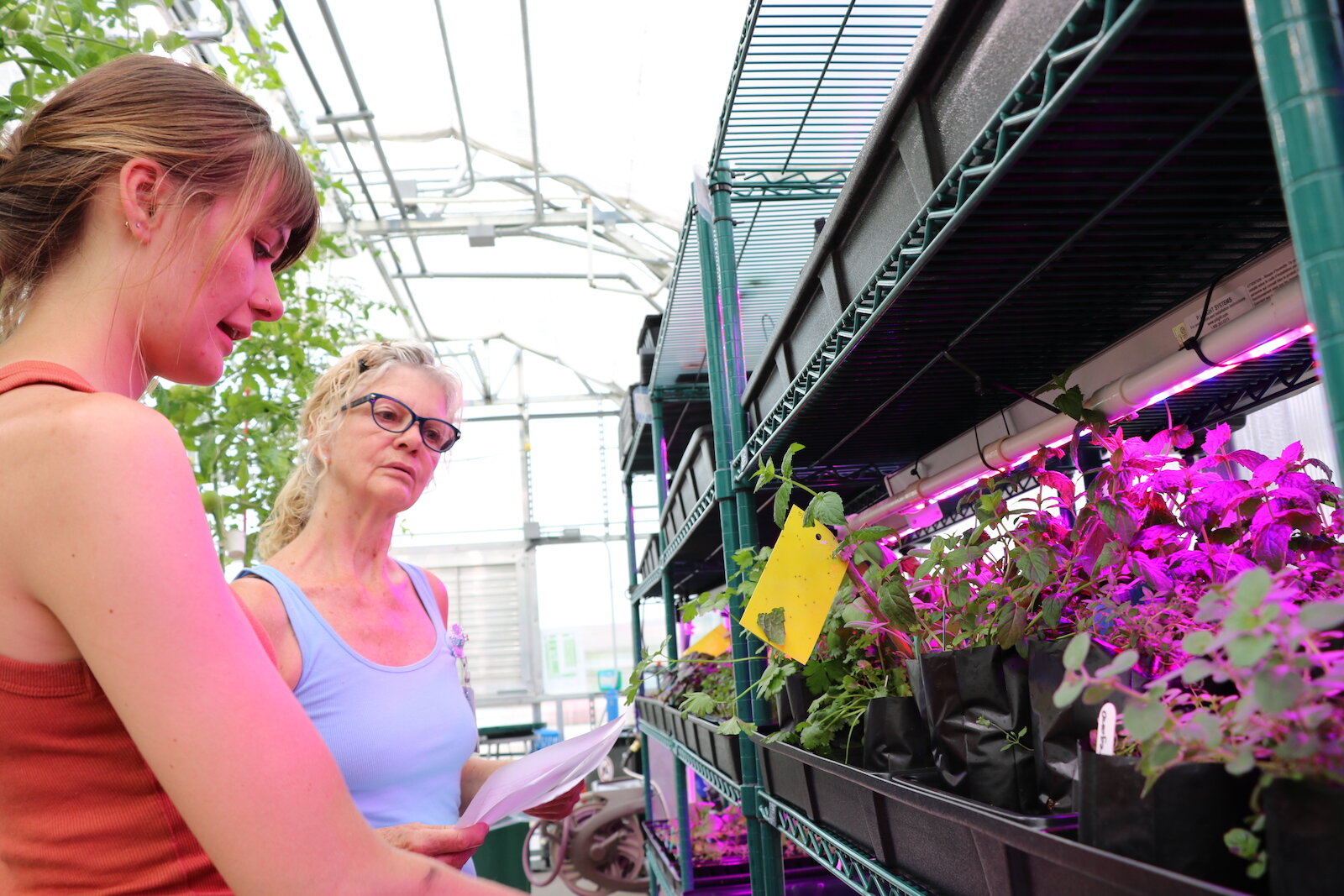 Greenhouse assistants Kristen Canan (left) and Charlotte Wehr examine some plants. 
