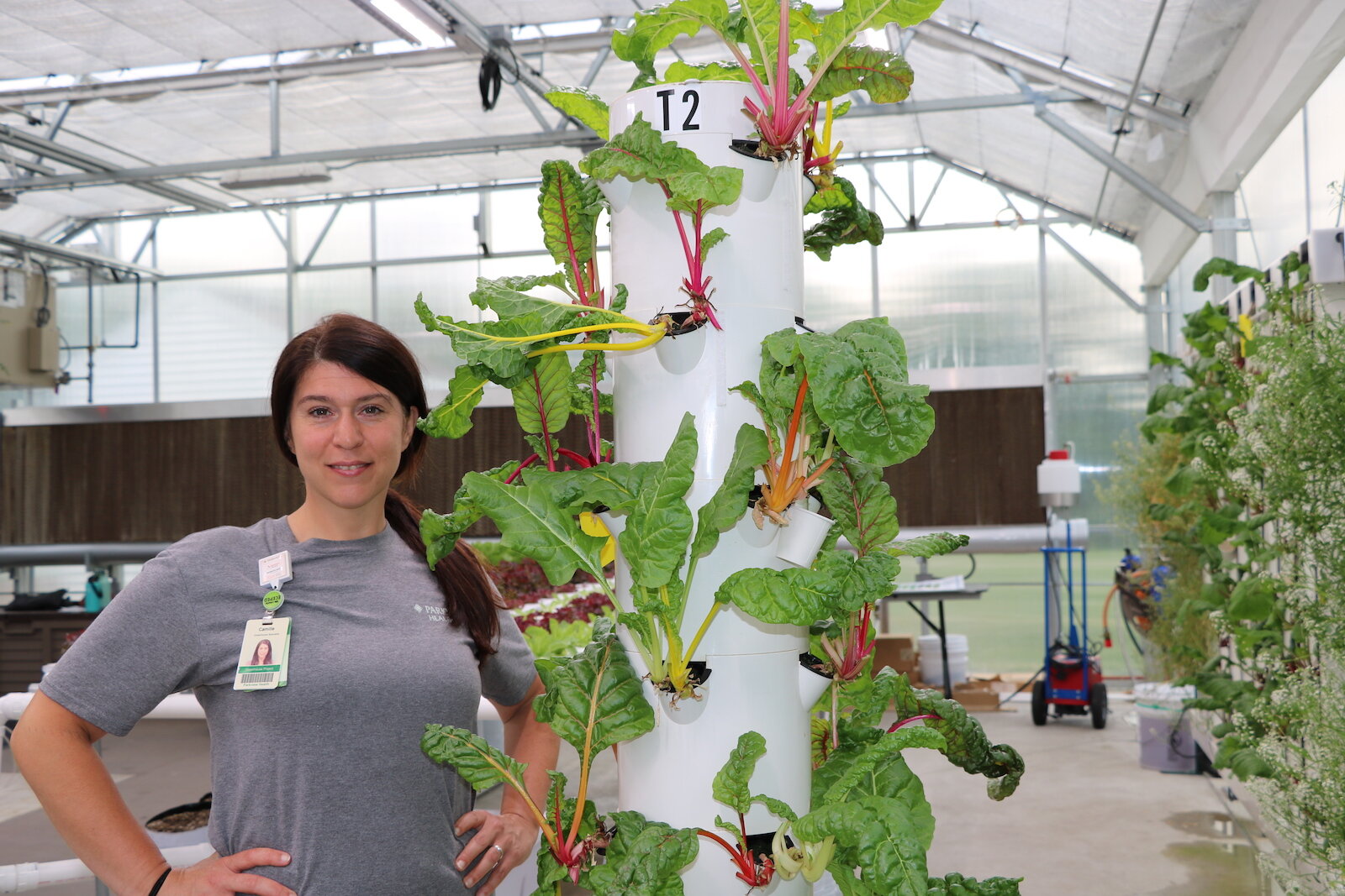 Camille Schuelke, greenhouse farmer at Parkview Community Greenhouse and Learning Kitchen, is seen next to a “tower” of rainbow chard. 