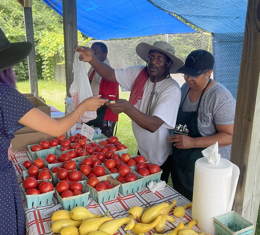 Farmer Gonzalee Martin serves customers at the HEAL Market at McCormick Place Apartments.