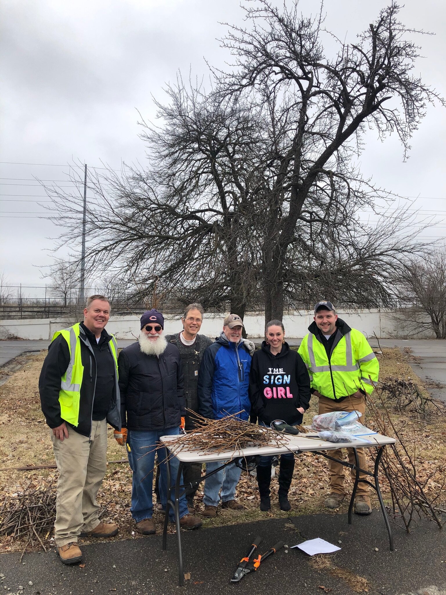 Volunteers met in February to collect bark from the pear tree to graft onto rootstock at Dick's Organics.