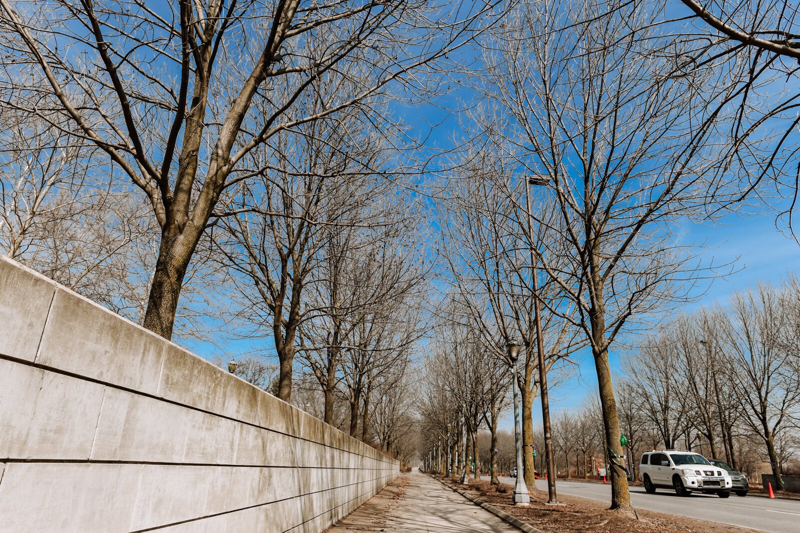 Street trees in Downtown Fort Wayne contribute to the city's tree canopy.