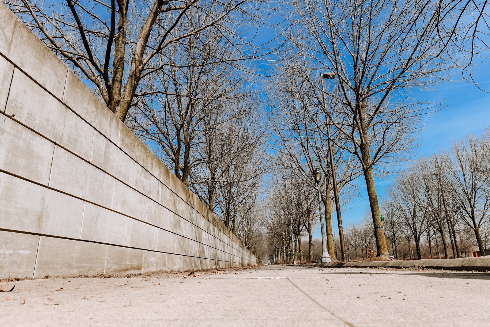 Street trees in Downtown Fort Wayne contribute to the city's tree canopy.