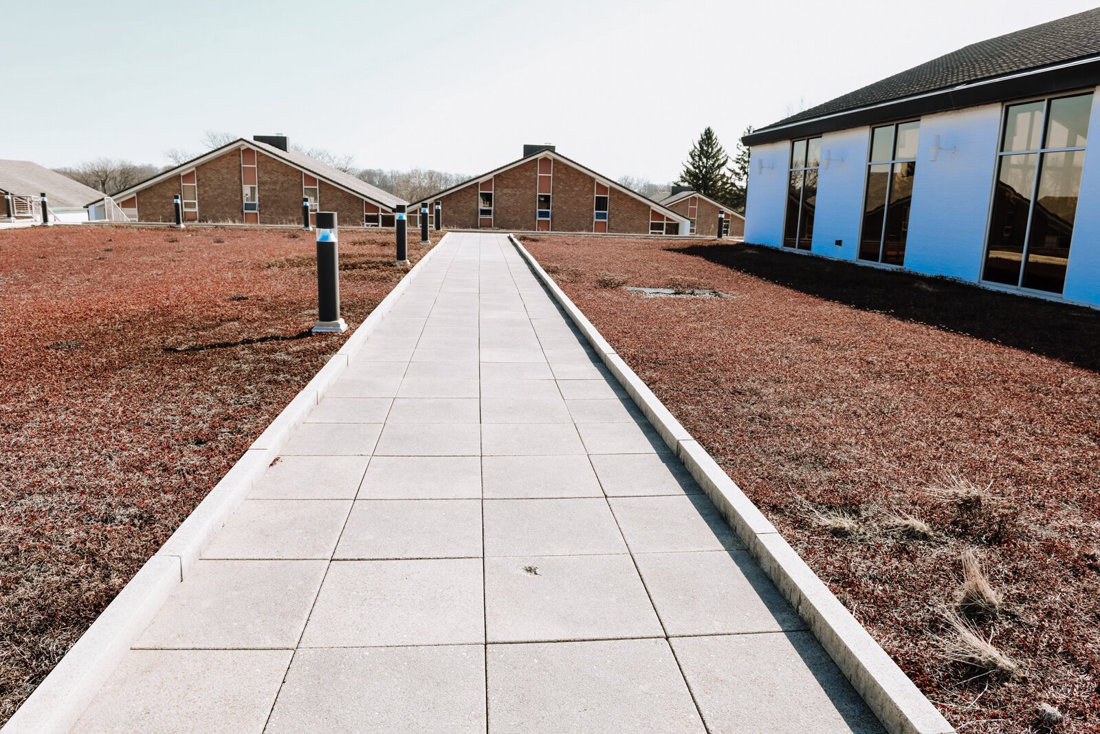 A green "living" roof (during the cold season) atop the campus library at Concordia Theological Seminary (CTSFW) at 6600 N. Clinton St.