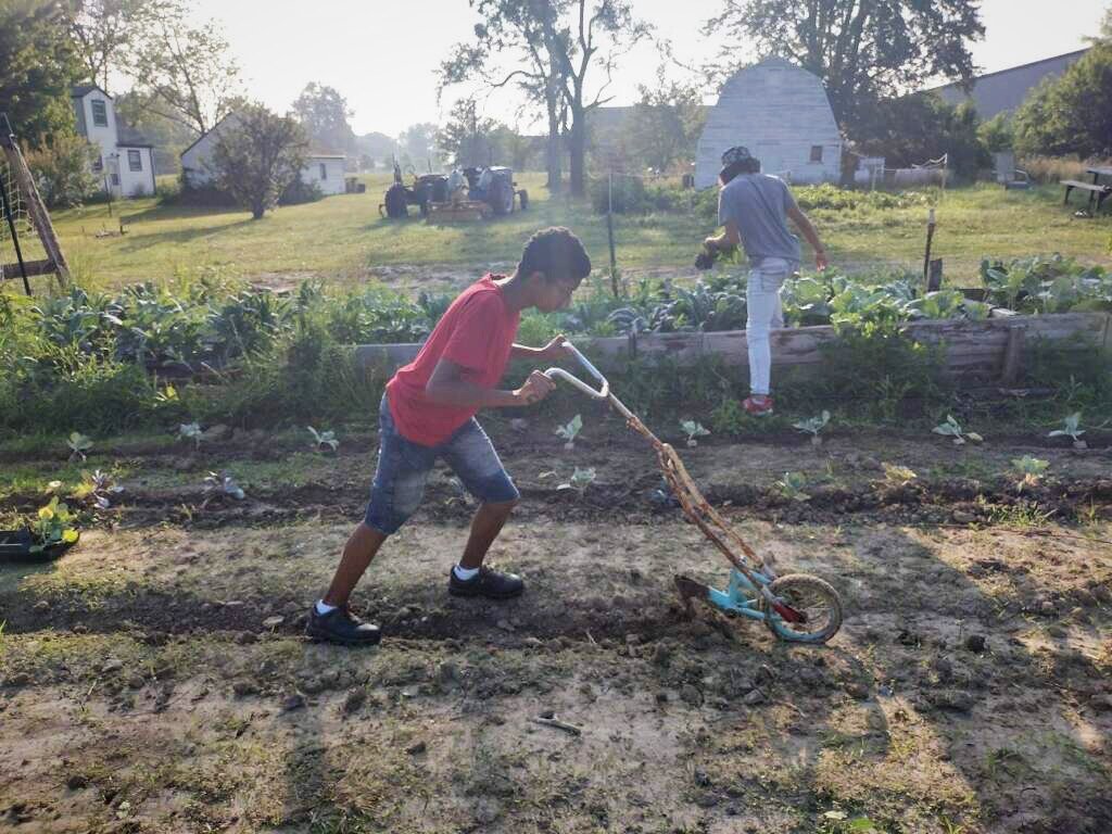 About 15 youth, ages 10-17, tend land on the farm through the nonprofit Human Agricultural Coop, which teaches life skills and healthy eating through farming. 