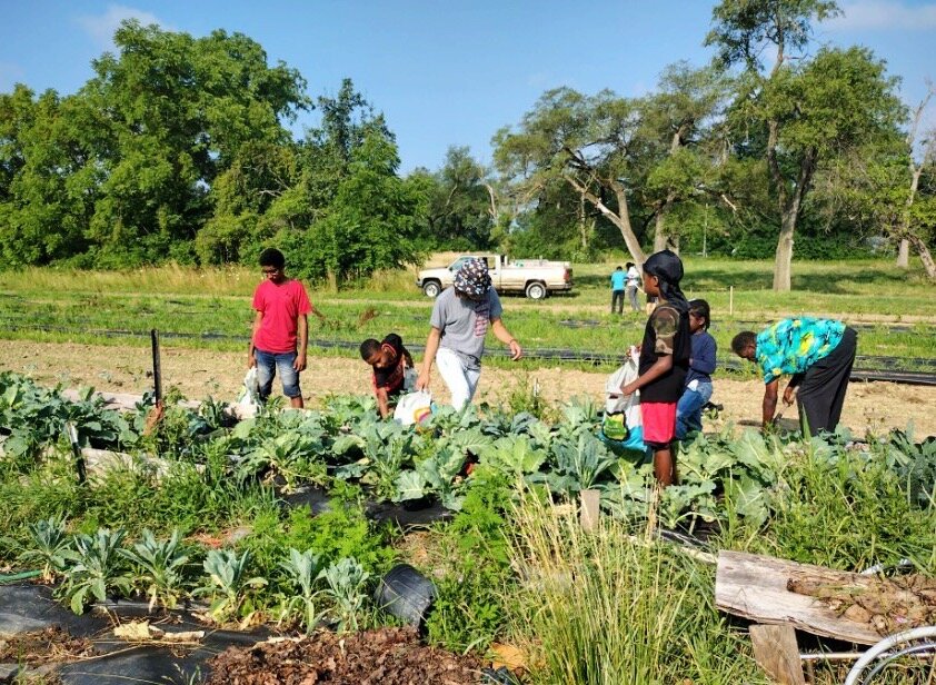 About 15 youth, ages 10-17, tend land on the farm through the nonprofit Human Agricultural Coop, which teaches life skills and healthy eating through farming. 