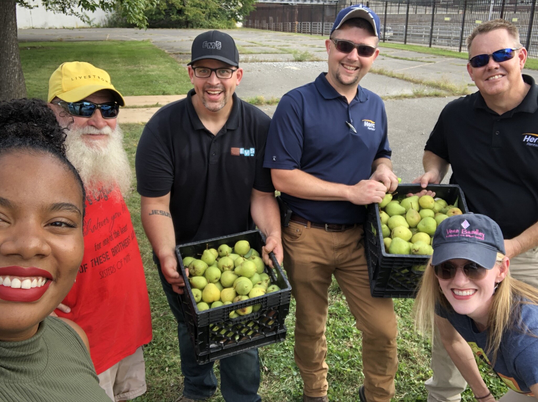 A team of six volunteers, including Ritter, second from the left, and Vann Wallstrom, lower right, help harvest the tree each fall.