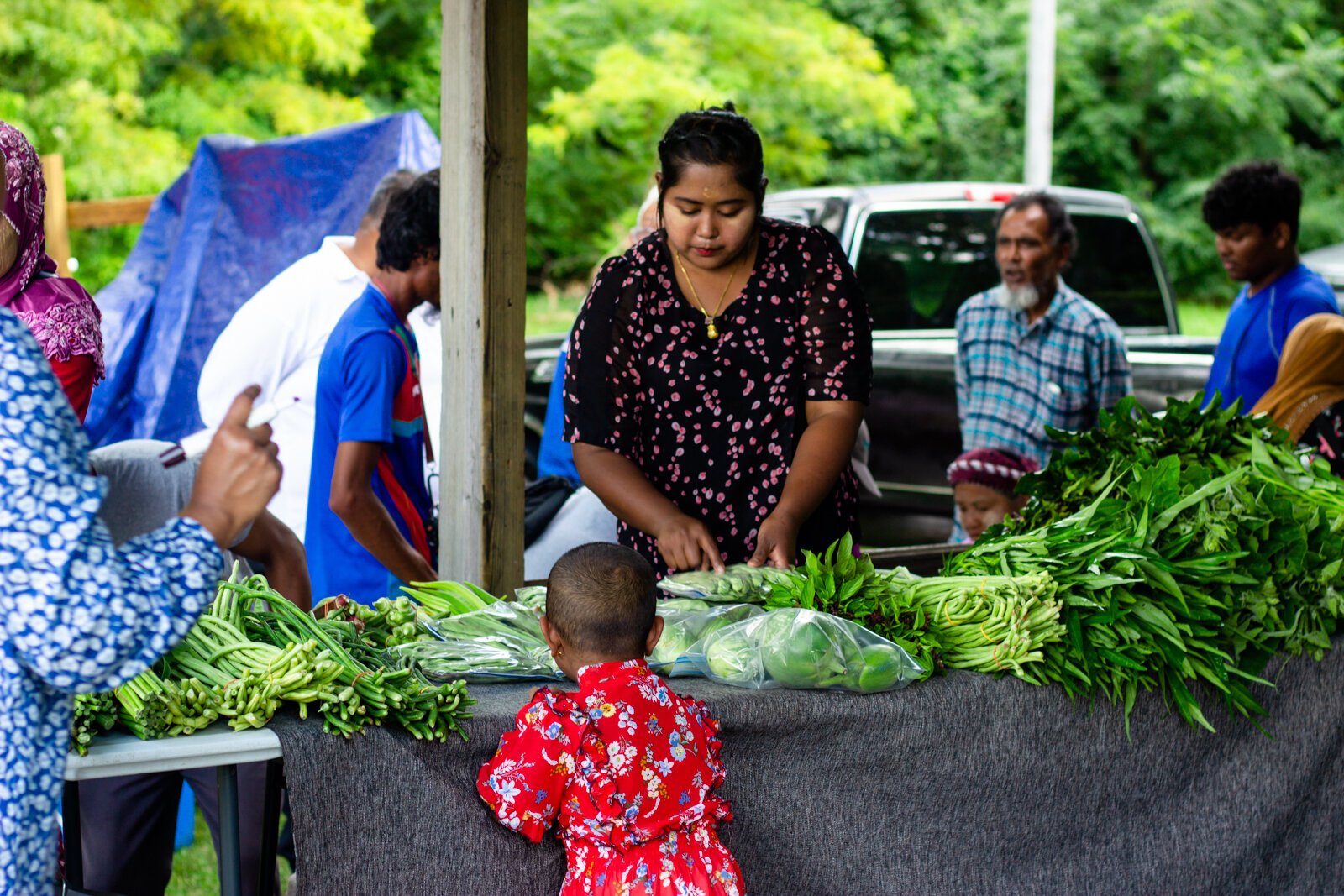 Healthy Eating Active Living (HEAL) Markets gives Allen County residents opportunities to shop for fresh foods in areas lacking food access.