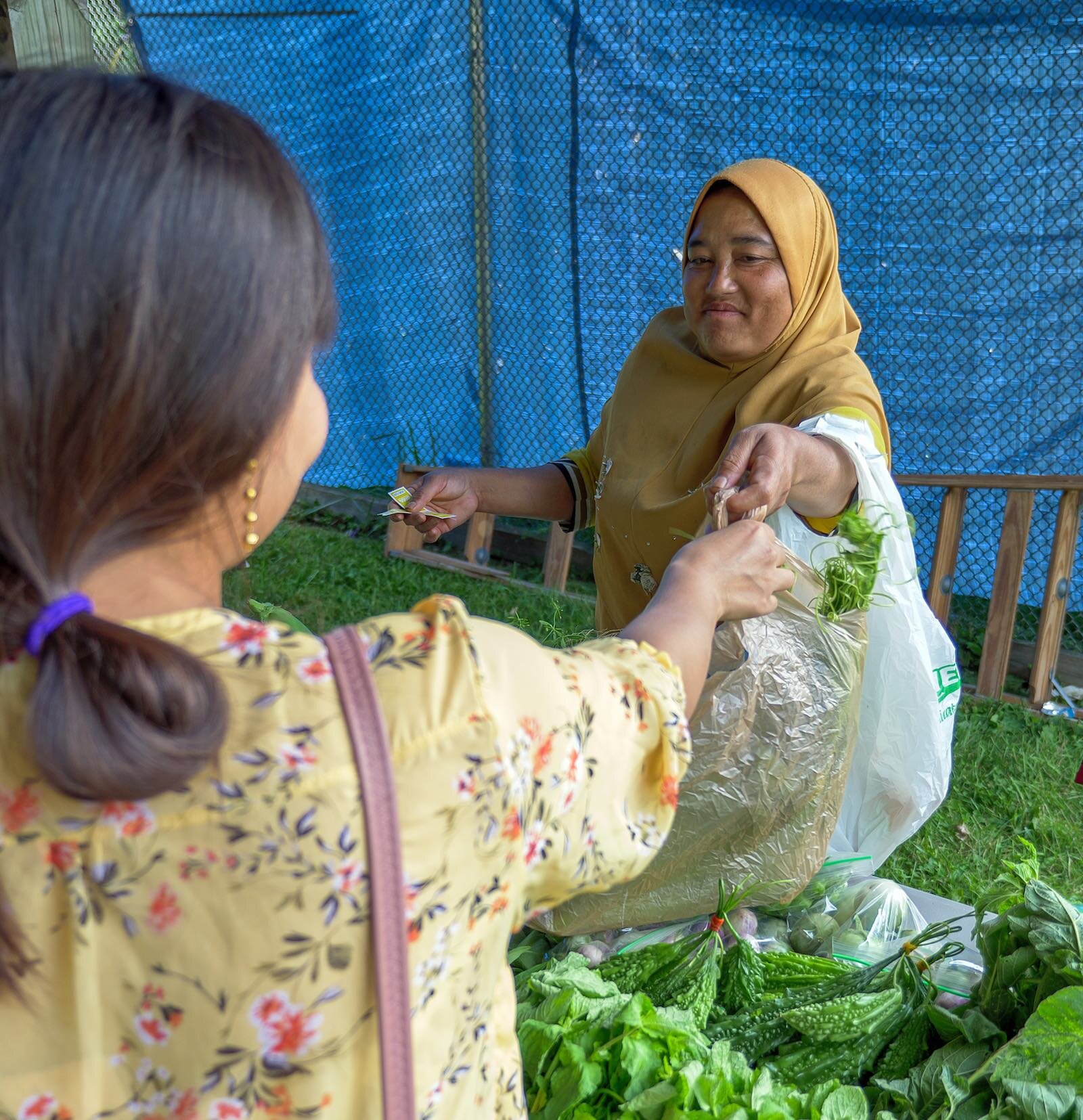 Attendees shop for fresh fruits and veggies at the HEAL Market.