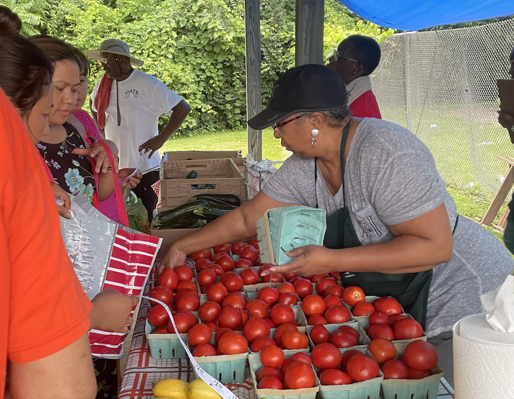 Shoppers purchase locally grown tomatoes at the HEAL Market at McCormick Place Apartments.