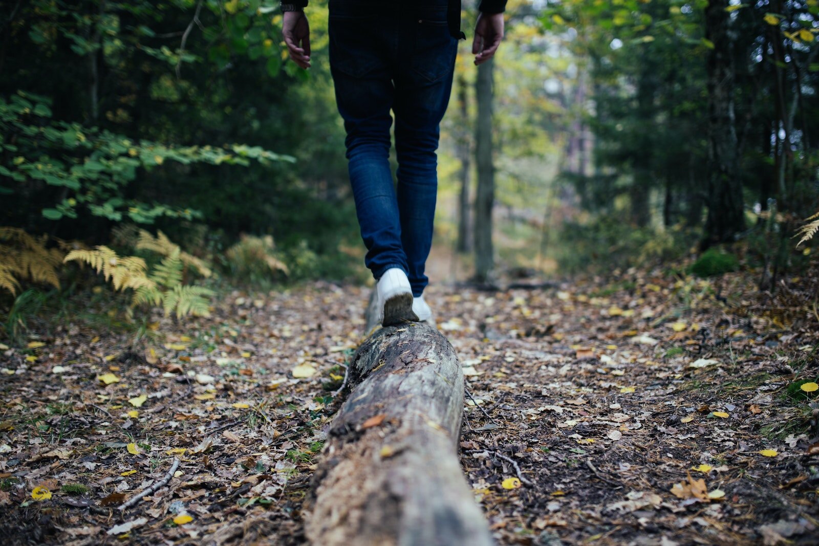 If you are looking for a longer or more strenuous hike, check out the 13-mile Bloodroot Trail or the more rugged Three Falls Trail—both located near Salamonie Reservoir.