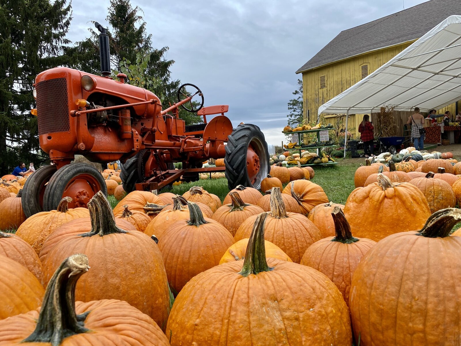 Hilger Family Farm is one of many places you can find fall favorites.