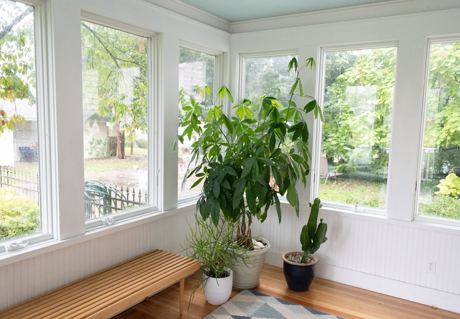 Plants and natural light fill the entryway patio area.