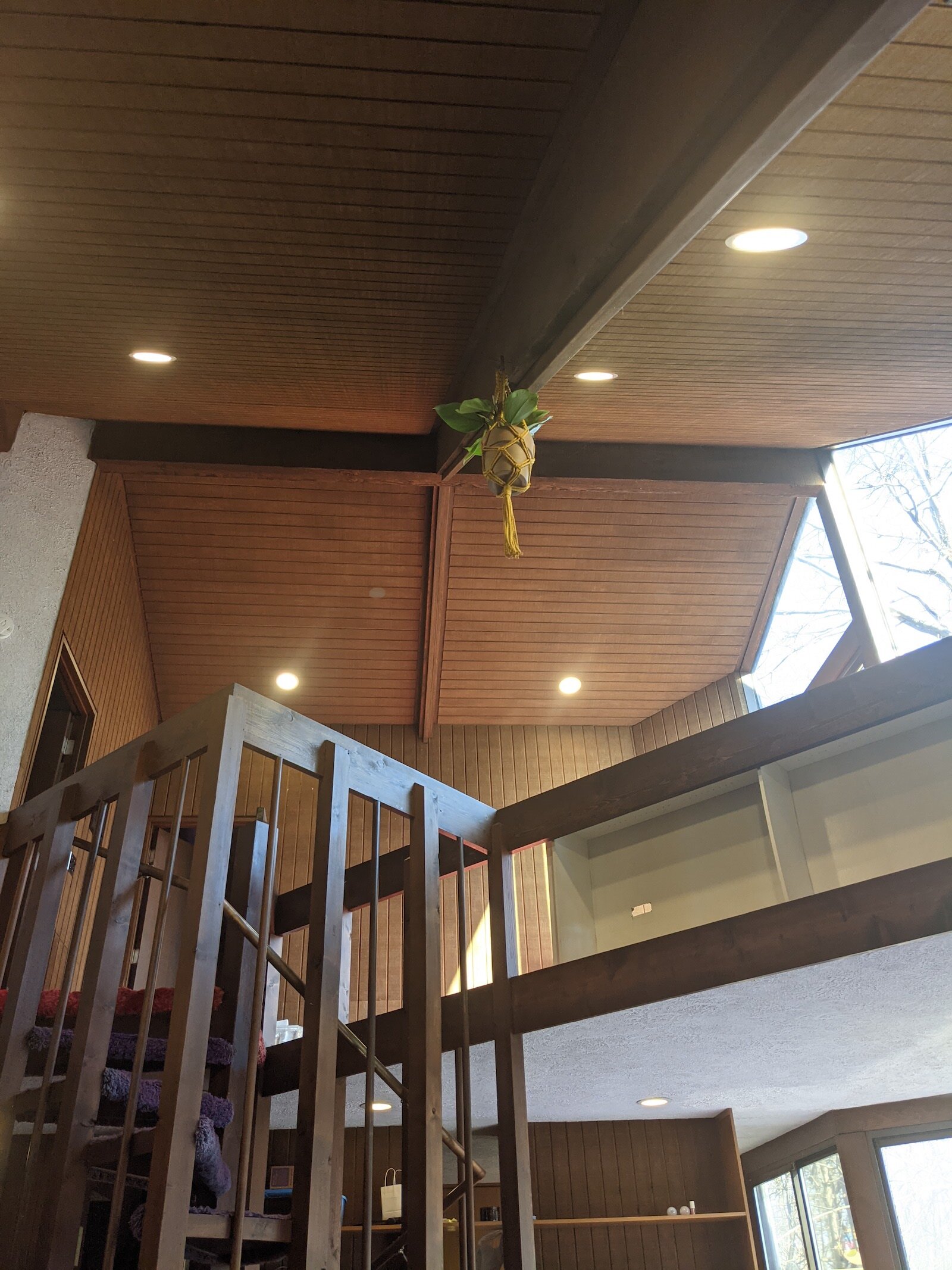 Tall hardwood ceilings inside the main living area.